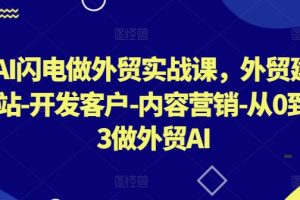 AI闪电做外贸实战课，​外贸建站-开发客户-内容营销-从0到3做外贸AI（更新）