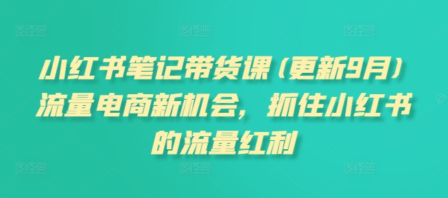 小红书笔记带货课(更新10月)流量电商新机会，抓住小红书的流量红利插图