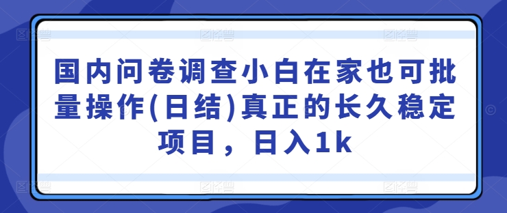 国内问卷调查小白在家也可批量操作(日结)真正的长久稳定项目，日入1k【揭秘】插图