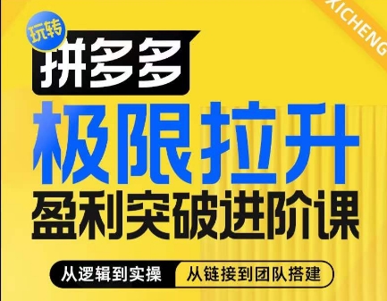 拼多多极限拉升盈利突破进阶课，​从算法到玩法，从玩法到团队搭建，体系化系统性帮助商家实现利润提升插图