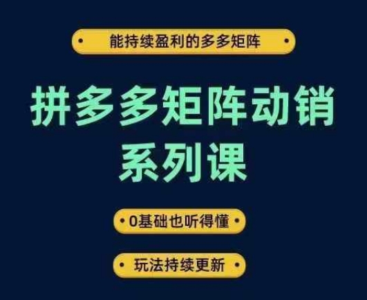 拼多多矩阵动销系列课，能持续盈利的多多矩阵，0基础也听得懂，玩法持续更新插图