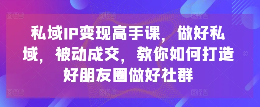 私域IP变现高手课，做好私域，被动成交，教你如何打造好朋友圈做好社群插图