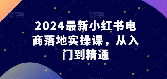 2024最新小红书电商落地实操课，从入门到精通插图