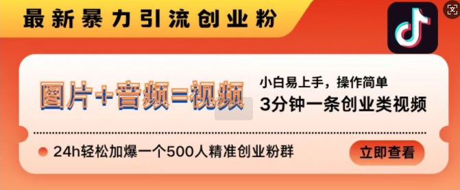 抖音最新暴力引流创业粉，3分钟一条创业类视频，24h轻松加爆一个500人精准创业粉群【揭秘】插图