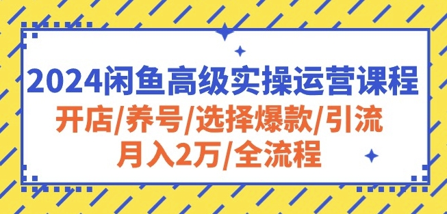 2024闲鱼高级实操运营课程：开店/养号/选择爆款/引流/月入2万/全流程插图