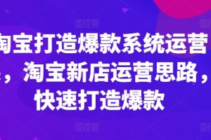 淘宝打造爆款系统运营课，淘宝新店运营思路，快速打造爆款