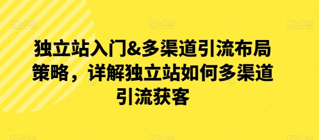 独立站入门&多渠道引流布局策略，详解独立站如何多渠道引流获客插图