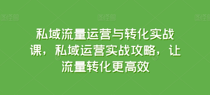 私域流量运营与转化实战课，私域运营实战攻略，让流量转化更高效插图