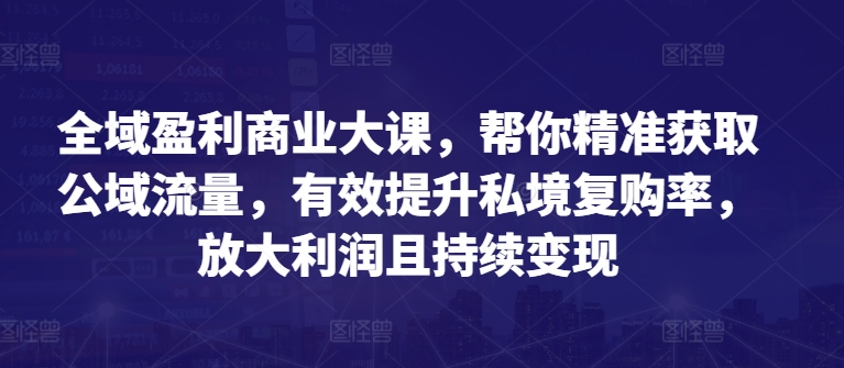 全域盈利商业大课，帮你精准获取公域流量，有效提升私境复购率，放大利润且持续变现插图