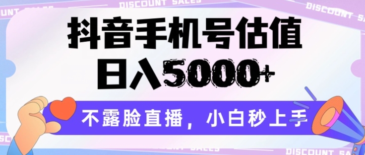 抖音手机号估值，日入5000+，不露脸直播，小白秒上手【揭秘】插图