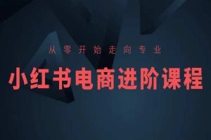 从零开始走向专业，小红书电商进阶课程