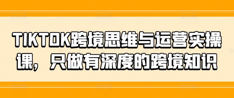 TIKTOK跨境思维与运营实操课，只做有深度的跨境知识插图