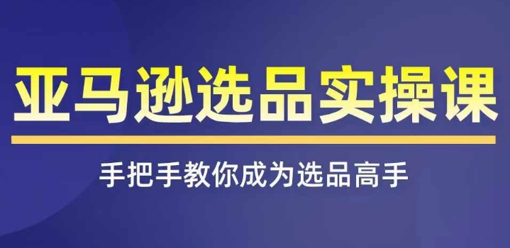 亚马逊选品实操课程，快速掌握亚马逊选品的技巧，覆盖亚马逊选品所有渠道插图