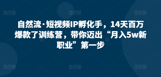 自然流·短视频IP孵化手，14天百万爆款了训练营，带你迈出“月入5w新职业”第一步插图