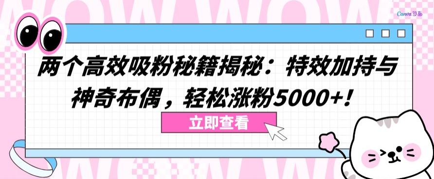 两个高效吸粉秘籍揭秘：特效加持与神奇布偶，轻松涨粉5000+【揭秘】插图