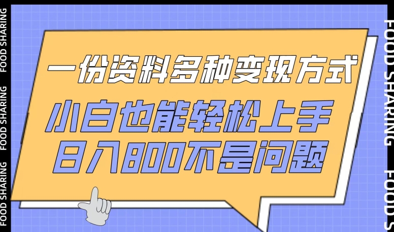 一份资料多种变现方式，小白也能轻松上手，日入800不是问题【揭秘】插图