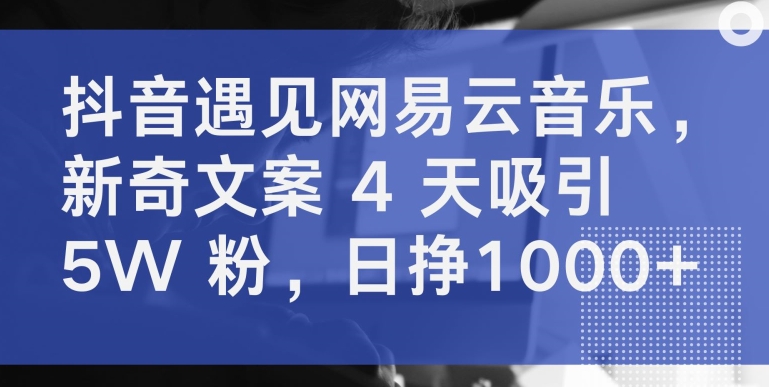 抖音遇见网易云音乐，新奇文案 4 天吸引 5W 粉，日挣1000+【揭秘】插图