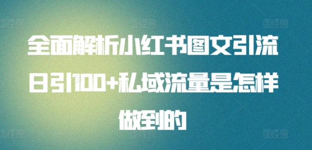 全面解析小红书图文引流日引100+私域流量是怎样做到的【揭秘】插图