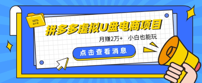 拼多多虚拟U盘电商红利项目：月赚2万+，新手小白也能玩插图