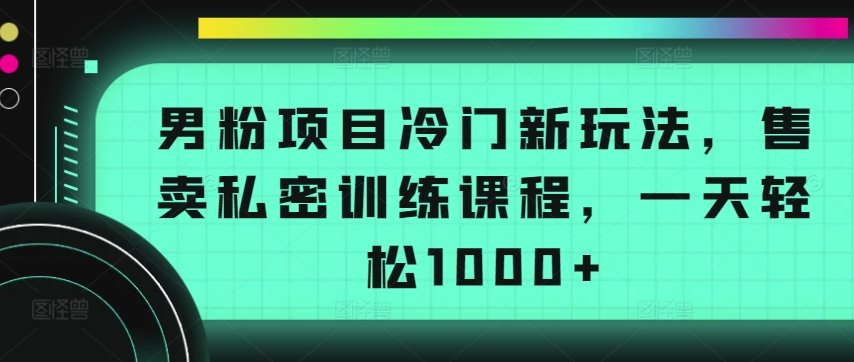 男粉项目冷门新玩法，售卖私密训练课程，一天轻松1000+【揭秘】插图